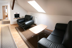 Wohnzimmer (Ferienwohnung III)