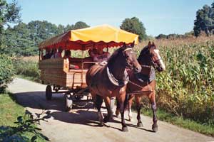 Kremserfahrt im Spreewald