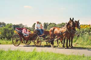 Kutschfahrt im Spreewald